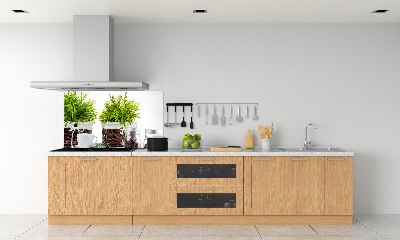 Spatscherm keuken Koffiehuisthema