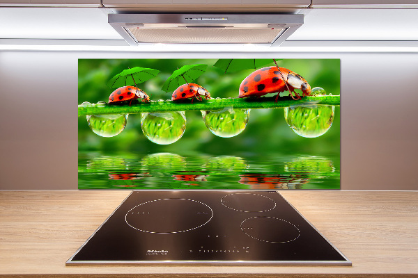 Spatscherm keuken paraplu's met lieveheersbeestjesmotief