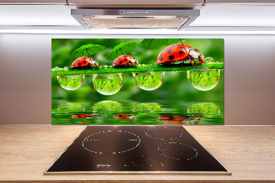 Spatscherm keuken paraplu's met lieveheersbeestjesmotief
