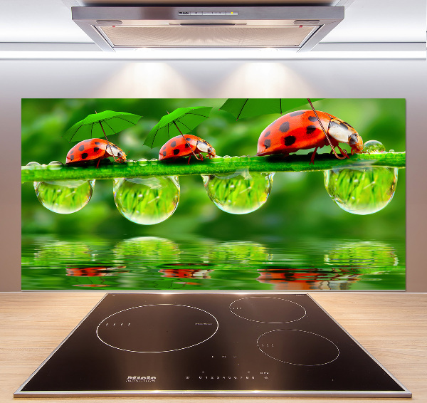 Spatscherm keuken paraplu's met lieveheersbeestjesmotief
