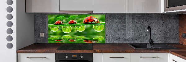 Spatscherm keuken paraplu's met lieveheersbeestjesmotief