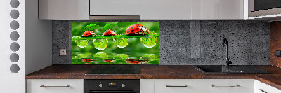 Spatscherm keuken paraplu's met lieveheersbeestjesmotief