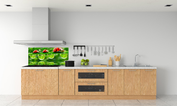 Spatscherm keuken paraplu's met lieveheersbeestjesmotief