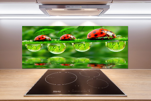 Spatscherm keuken paraplu's met lieveheersbeestjesmotief