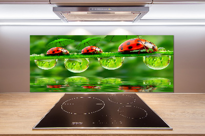 Spatscherm keuken paraplu's met lieveheersbeestjesmotief