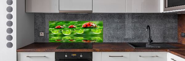Spatscherm keuken paraplu's met lieveheersbeestjesmotief