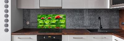 Spatscherm keuken paraplu's met lieveheersbeestjesmotief