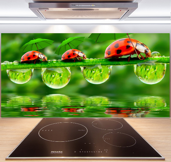 Spatscherm keuken paraplu's met lieveheersbeestjesmotief