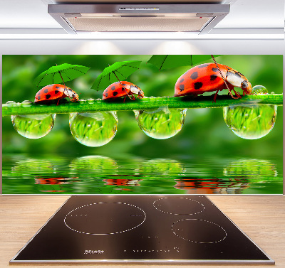 Spatscherm keuken paraplu's met lieveheersbeestjesmotief