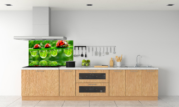 Spatscherm keuken paraplu's met lieveheersbeestjesmotief