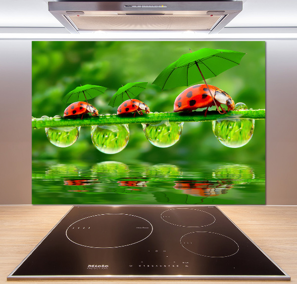 Spatscherm keuken paraplu's met lieveheersbeestjesmotief