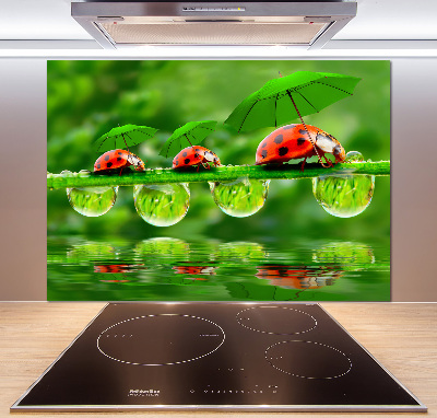 Spatscherm keuken paraplu's met lieveheersbeestjesmotief
