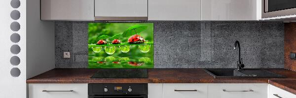 Spatscherm keuken paraplu's met lieveheersbeestjesmotief
