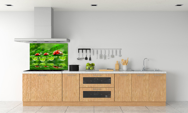 Spatscherm keuken paraplu's met lieveheersbeestjesmotief