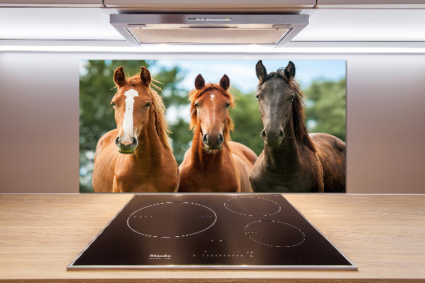 Spatplaat keuken Drie paarden