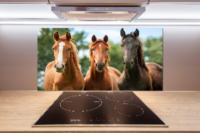 Spatplaat keuken Drie paarden