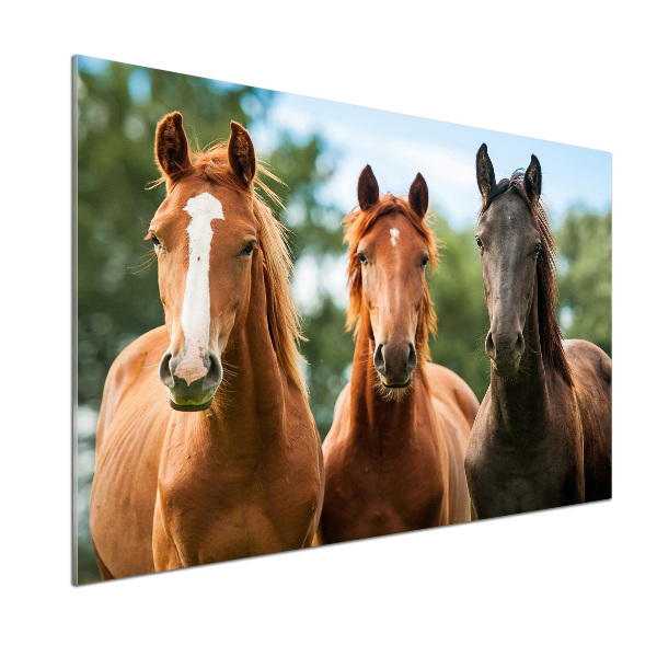 Spatplaat keuken Drie paarden