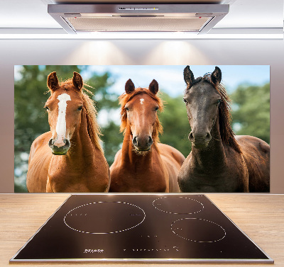 Spatplaat keuken Drie paarden