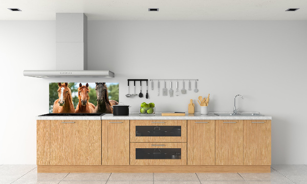 Spatplaat keuken Drie paarden