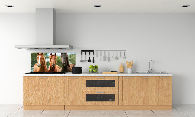 Spatplaat keuken Drie paarden