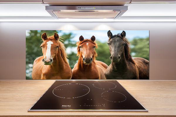 Spatplaat keuken Drie paarden