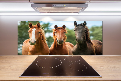 Spatplaat keuken Drie paarden