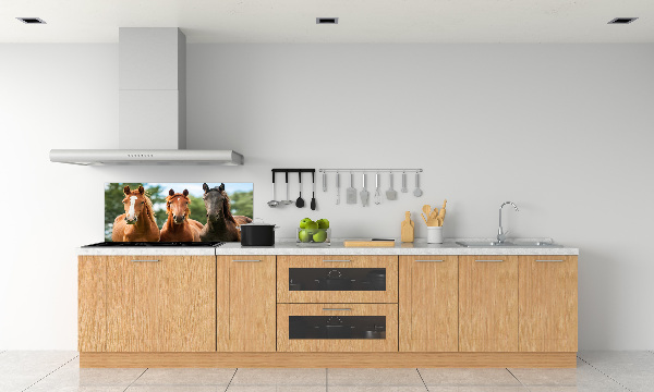 Spatplaat keuken Drie paarden