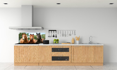 Spatplaat keuken Drie paarden