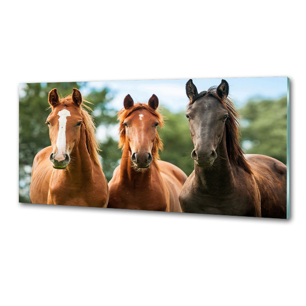 Spatplaat keuken Drie paarden