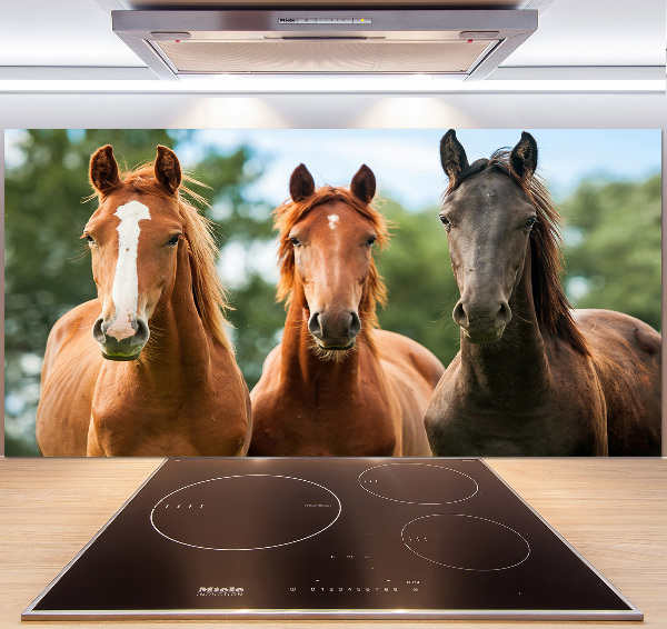Spatplaat keuken Drie paarden