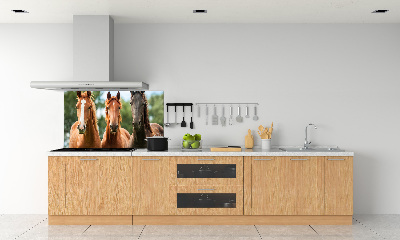 Spatplaat keuken Drie paarden