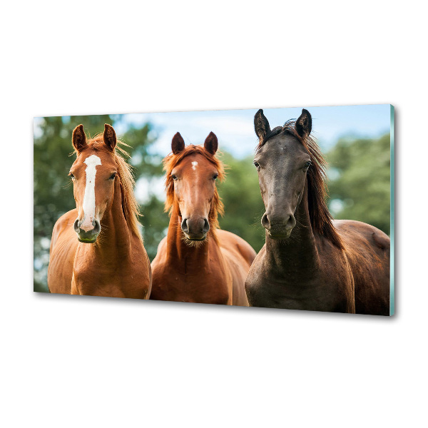 Spatplaat keuken Drie paarden