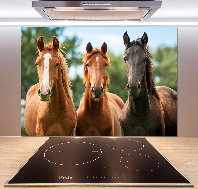 Spatplaat keuken Drie paarden