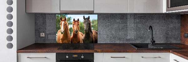 Spatplaat keuken Drie paarden
