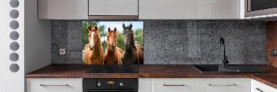 Spatplaat keuken Drie paarden