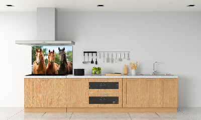 Spatplaat keuken Drie paarden