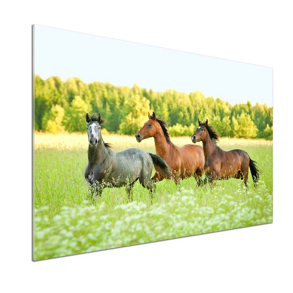 Keuken achterwand Paarden in galop