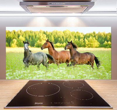 Keuken achterwand Paarden in galop
