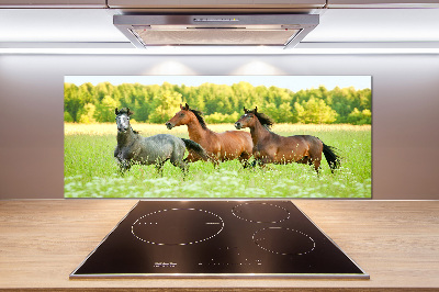 Keuken achterwand Paarden in galop