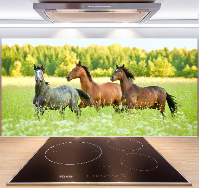 Keuken achterwand Paarden in galop