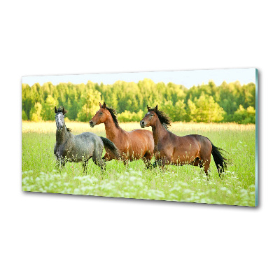 Panel do kuchni Konie w galopie