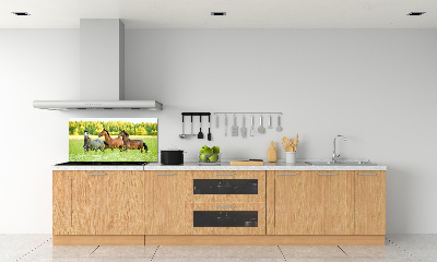 Keuken achterwand Paarden in galop