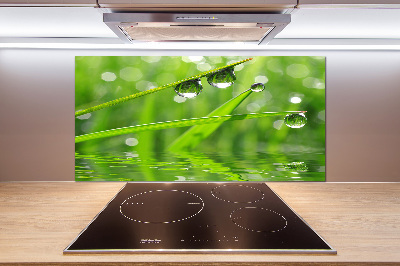 Glazen achterwand keuken Druppels op het gras