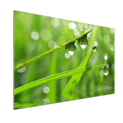 Glazen achterwand keuken Druppels op het gras