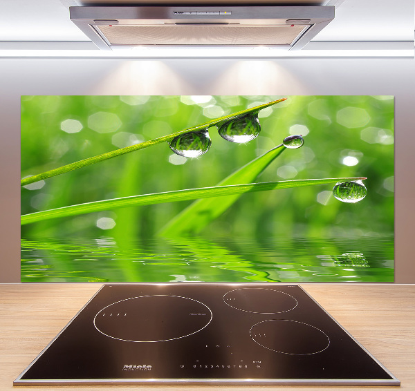 Glazen achterwand keuken Druppels op het gras