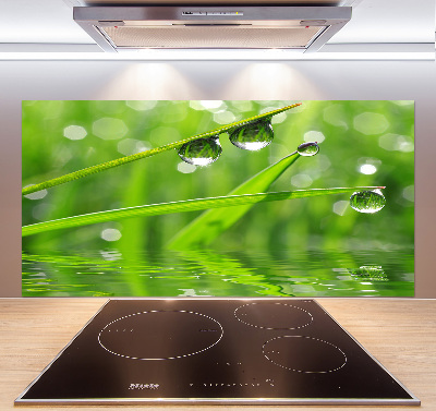 Glazen achterwand keuken Druppels op het gras