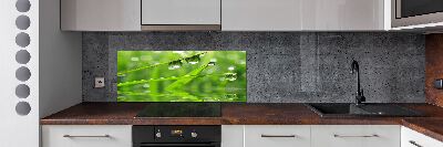 Glazen achterwand keuken Druppels op het gras