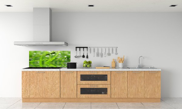 Glazen achterwand keuken Druppels op het gras