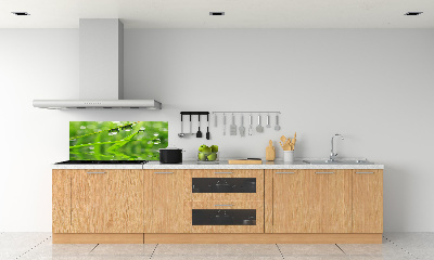 Glazen achterwand keuken Druppels op het gras