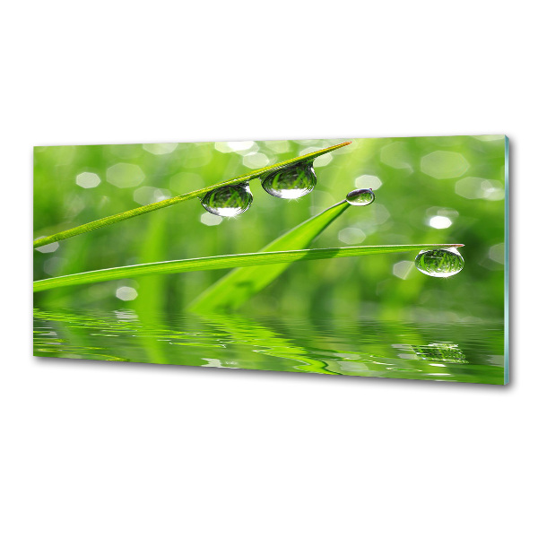 Glazen achterwand keuken Druppels op het gras